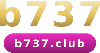 b737 logo